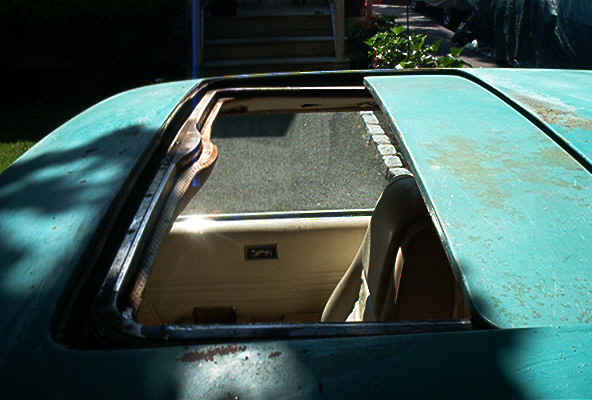 005.jpg (75179 bytes)